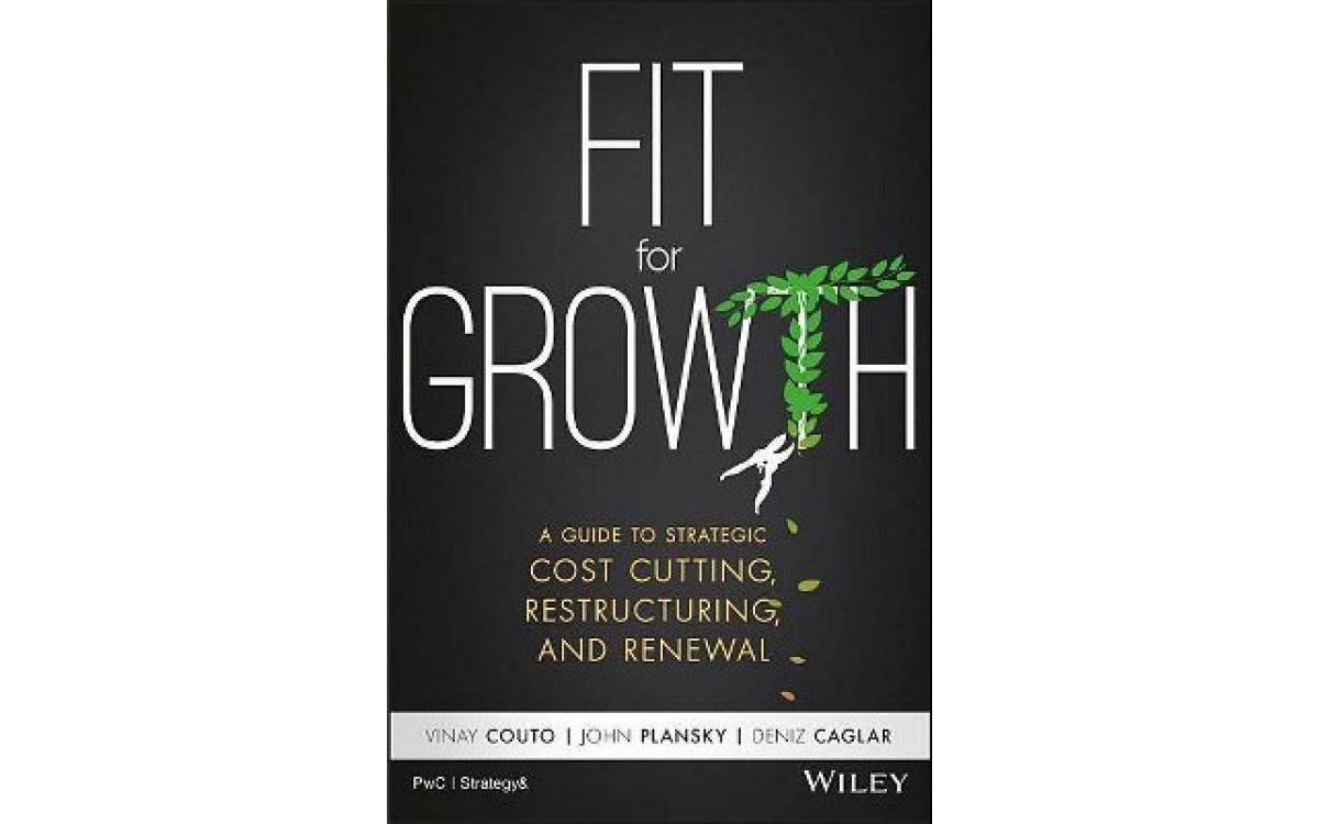 Fit for Growth - Vinay Couto, John Plansky and Deniz Caglar [Tóm tắt]